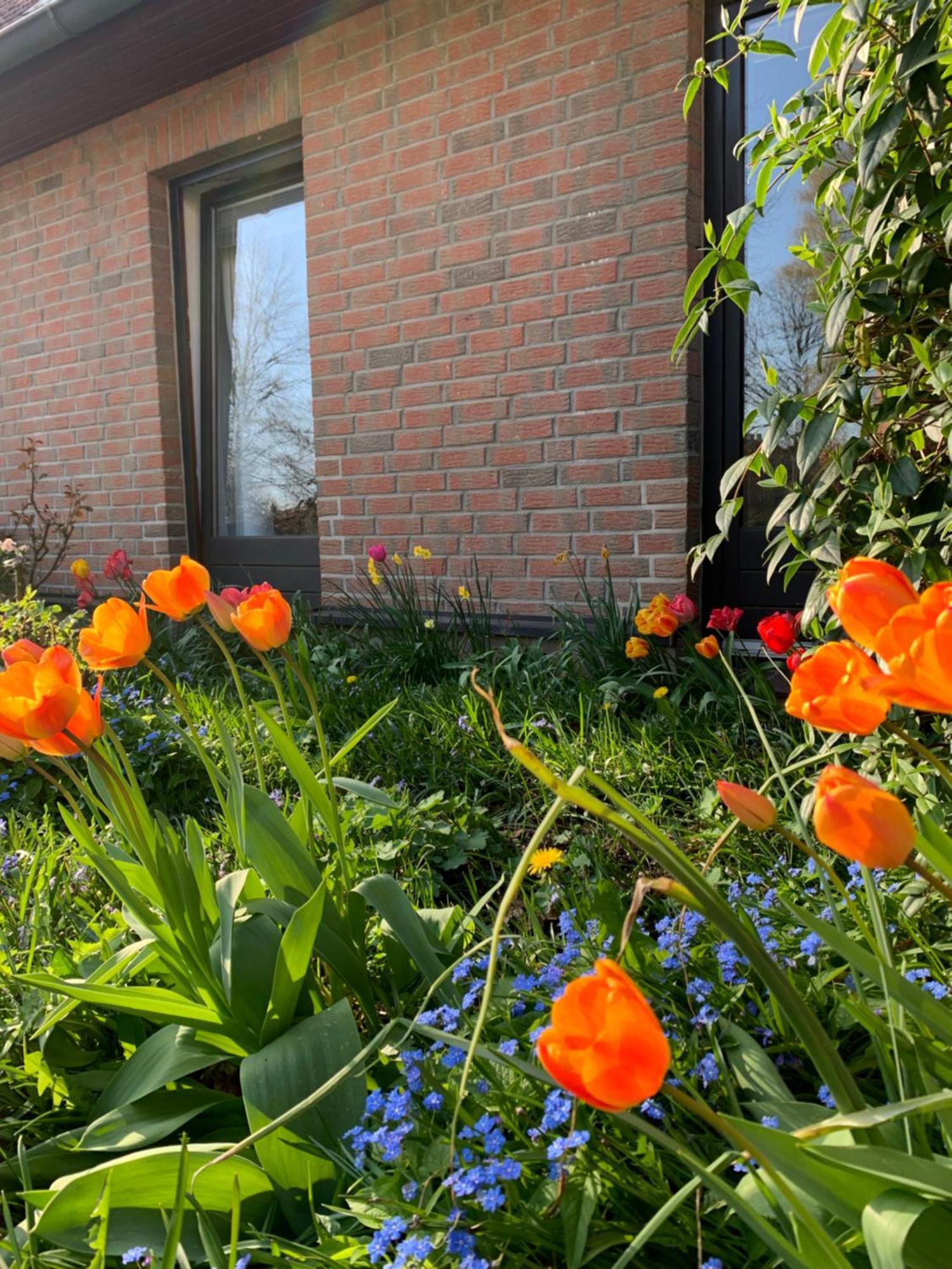 Zwei Und Luxus Mit Garten *